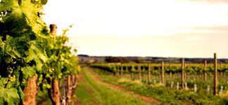 itinerario franciacorta