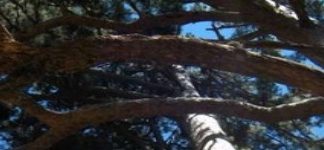 riserva naturale fallistro