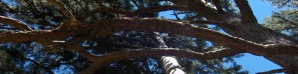 riserva naturale fallistro