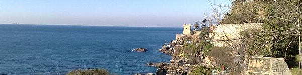 nervi