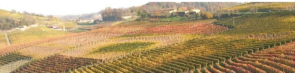 Barolo