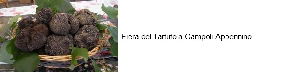 campoli fiera tartufo nero