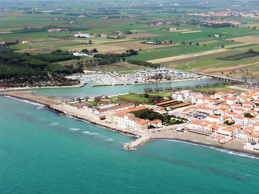 cecina