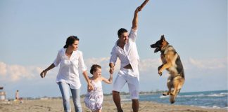 Cani in spiaggia in abruzzo
