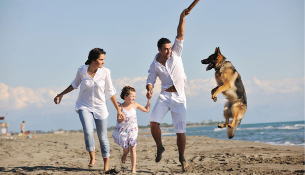 Cani in spiaggia in abruzzo