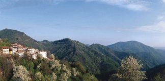 Drenchia