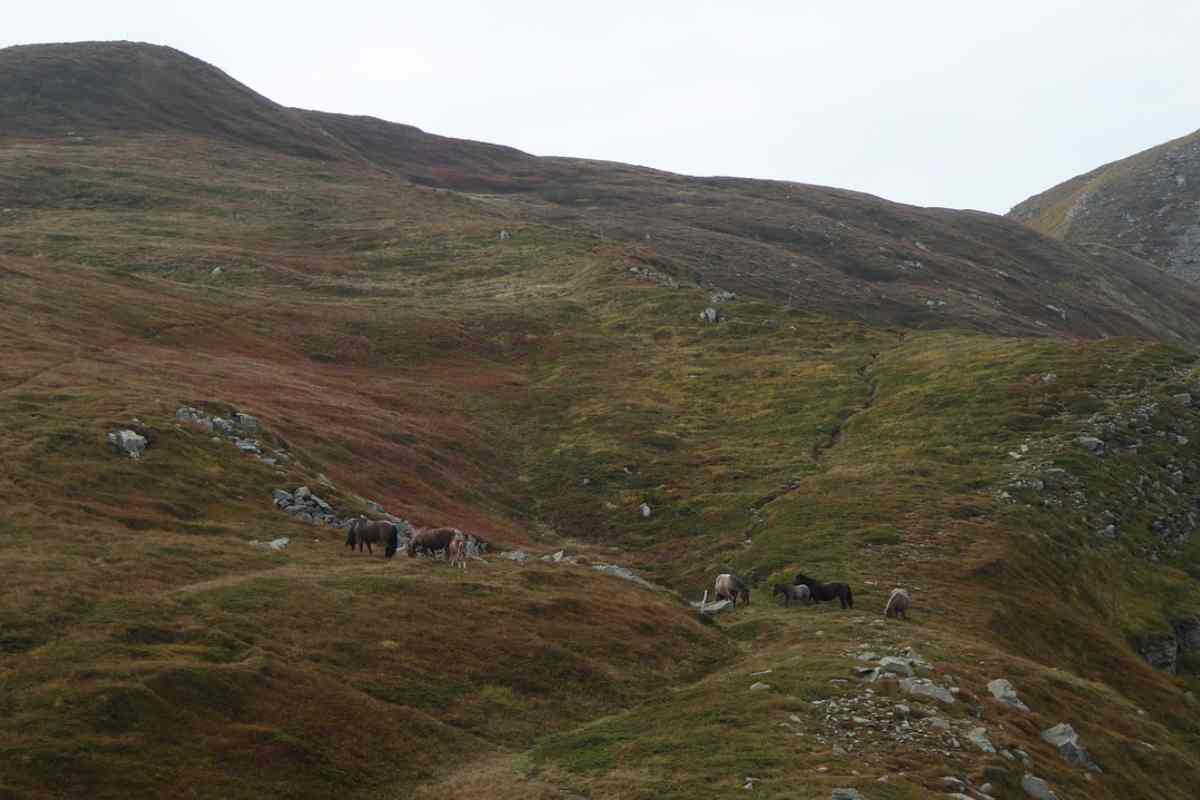 Montagne mare dieci cammini più belli Italia