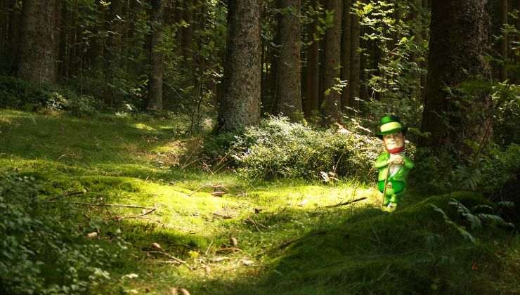Esistono boschi magici in cui vivono i folletti anche in Italia