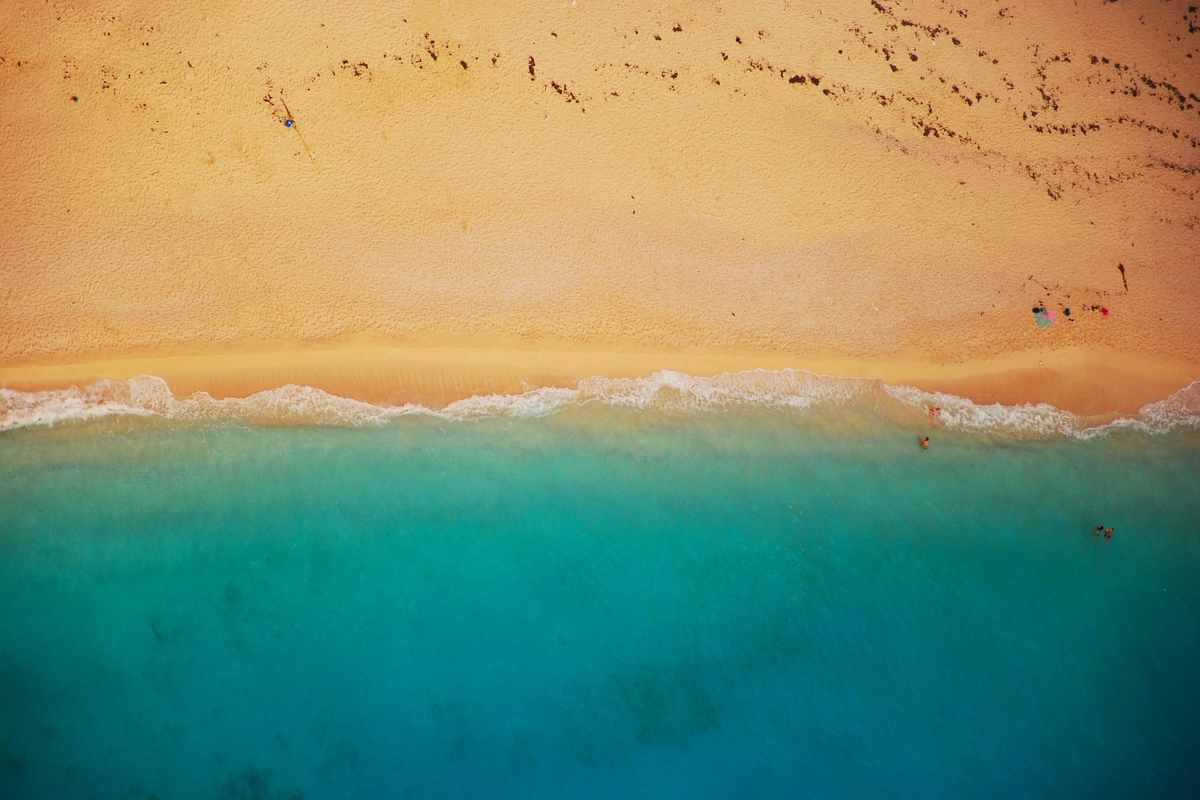 Cosa fare se vedete questo in spiaggia