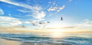 spiaggia italiana più bella d'Europa