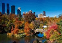 Un castello da favola a New York