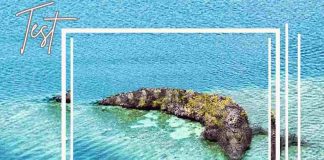 Test isola o coccodrillo
