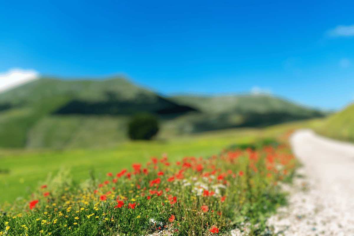 5 borghi in Umbria assolutamente da visitare