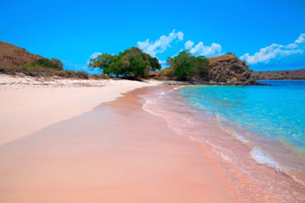 Le spiagge rosa nel mondo