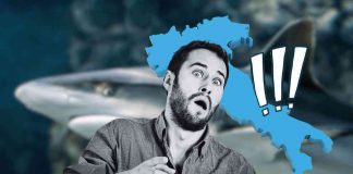 Squali in Italia aumentano avvistamenti