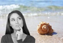 test della conchiglia rivela chi sei